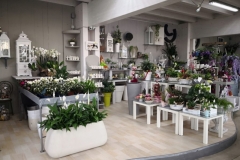 fiori