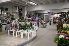 vendita-fiori-e-piante-online